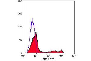 Staining of human peripheral blood lymphocytes with MOUSE ANTI HUMAN CD8 (ABIN119508). (CD8 抗体)