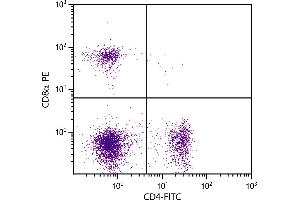 BALB/c mouse splenocytes were stained with Rat Anti-Mouse CD4-FITC and Rat Anti-Mouse CD8α-PE. (CD4 抗体  (FITC))