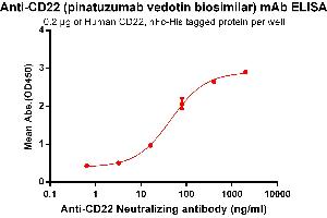 ELISA plate pre-coated by 2 μg/mL (100 μL/well) Human CD22, hFc-His tagged protein (ABIN6961078, ABIN7042185 and ABIN7042186) can bind Anti-CD22 Neutralizing antibody in a linear range of 3. (Recombinant CD22 (Pinatuzumab Biosimilar) 抗体)