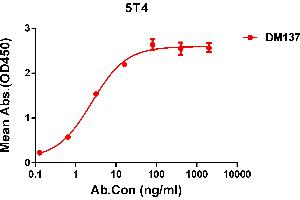 ELISA plate pre-coated by 1 μg/mL (100 μL/well) Human 5T4 protein, His tagged protein ABIN6964086, ABIN7042427 and ABIN7042428 can bind Rabbit anti-5T4 monoclonal antibody (clone: DM137) in a linear range of 0. (TPBG 抗体  (AA 32-355))