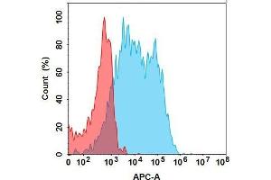 F protein is highly expressed on the surface of Expi293 cell membrane. (FOLR1 (Mirvetuximab Biosimilar) 抗体  (Glu239Asp-Mutant, Met241Leu-Mutant))