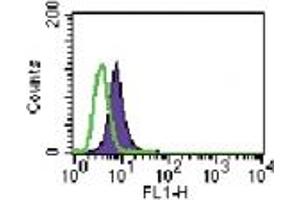 Image no. 1 for anti-Toll-Like Receptor 6 (TLR6) (AA 408-424) antibody (ABIN208047) (TLR6 抗体  (AA 408-424))