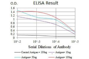 Red: Control Antigen (100ng) ; Purple: Antigen (10ng) ; Green: Antigen (50ng) ; Blue: Antigen (100ng). (RAP1A 抗体)