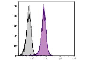 BALB/c mouse splenocytes were stained with Rat Anti-Mouse CD2-FITC. (CD2 抗体)