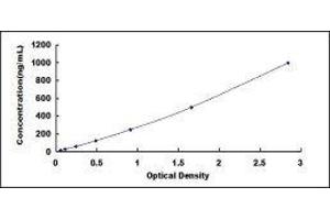 ELISA image for Ischemia Modified Albumin (IMA) ELISA Kit (ABIN414688) (Ischemia Modified Albumin ELISA 试剂盒)