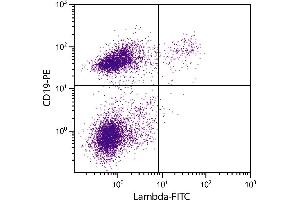 C57BL/6 mouse splenocytes were stained with Rat Anti-Mouse Lambda-FITC. (大鼠 anti-小鼠 lambda Antibody (FITC))