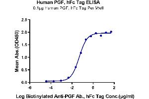 ELISA image for Placenta Growth Factor (PGF) (AA 19-221) protein (Fc Tag) (ABIN7275444)