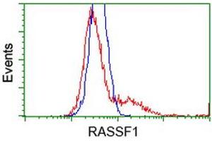 Flow Cytometry (FACS) image for anti-Ras Association (RalGDS/AF-6) Domain Family Member 1 (RASSF1) antibody (ABIN1500609) (RASSF1 抗体)