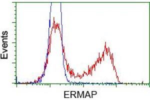 HEK293T cells transfected with either pCMV6-ENTRY ERMAP (RC215022) (Red) or empty vector control plasmid (Blue) were immunostained with anti-ERMAP mouse monoclonal (ABIN2453014), and then analyzed by flow cytometry. (ERMAP 抗体)