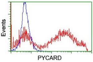 Image no. 2 for anti-PYD and CARD Domain Containing (PYCARD) antibody (ABIN1500519) (PYCARD 抗体)