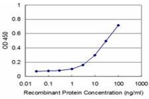 Detection limit for recombinant GST tagged RHOA is approximately 3ng/ml as a capture antibody. (RHOA 抗体  (AA 1-193))