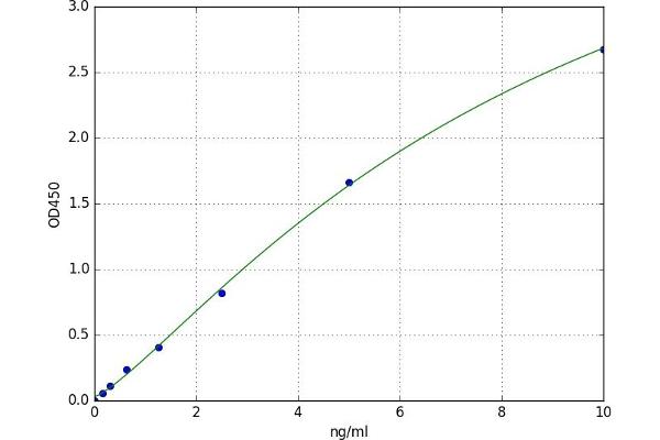 GGT5 ELISA 试剂盒