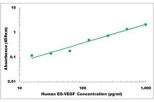 Representative Standard Curve (Prokineticin 1 ELISA 试剂盒)