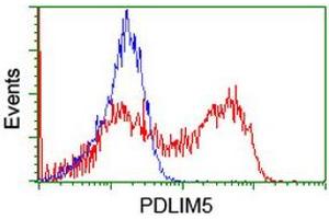 HEK293T cells transfected with either RC200592 overexpress plasmid (Red) or empty vector control plasmid (Blue) were immunostained by anti-PDLIM5 antibody (ABIN2455650), and then analyzed by flow cytometry. (PDLIM5 抗体)