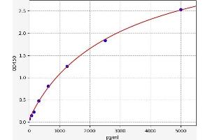 IER3 ELISA 试剂盒