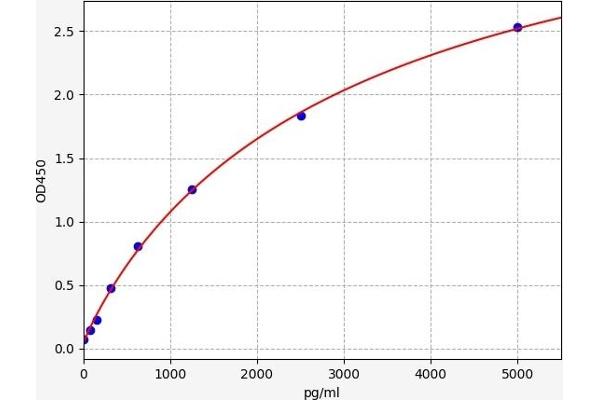 IER3 ELISA 试剂盒