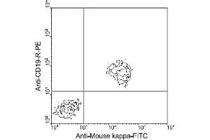 Flow Cytometry (FACS) image for Rat anti-Mouse Ig (Chain kappa), (Light Chain) antibody (FITC) (ABIN356162) (大鼠 anti-小鼠 Ig (Chain kappa), (Light Chain) Antibody (FITC))