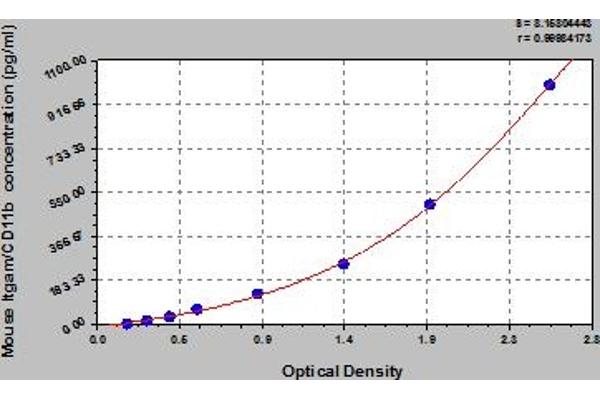 CD11b ELISA 试剂盒