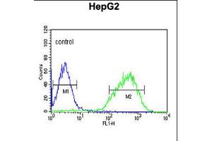 Flow cytometric analysis of HepG2 cells (right histogram) compared to a negative control cell (left histogram). (HIST1H2AL 抗体  (C-Term))