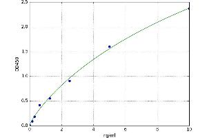 A typical standard curve (BST1 ELISA 试剂盒)