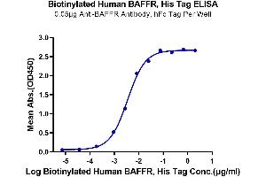 ELISA image for Tumor Necrosis Factor Receptor Superfamily, Member 13C (TNFRSF13C) protein (His-Avi Tag,Biotin) (ABIN7273915)