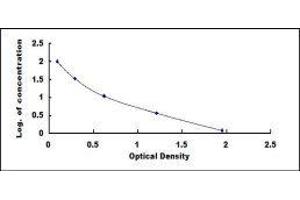 ELISA image for IgG ELISA Kit (ABIN431333) (IgG ELISA 试剂盒)