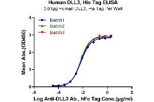 ELISA image for delta Like Protein 3 (DLL3) (AA 27-490) protein (His tag) (ABIN7274482)