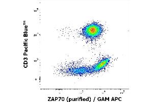 Flow Cytometry (FACS) image for anti-zeta-Chain (TCR) Associated Protein Kinase 70kDa (ZAP70) (C-Term) antibody (ABIN125756)