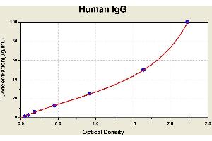 Diagramm of the ELISA kit to detect Human 1 gGwith the optical density on the x-axis and the concentration on the y-axis. (IgG ELISA 试剂盒)