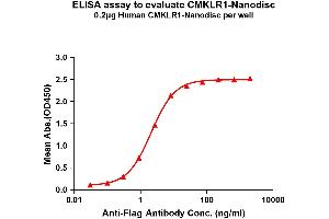 Elisa plates were pre-coated with Flag Tag CM-Nanodisc (0. (CMKLR1 蛋白)