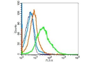 Mouse splenocytes probed with CD33 Polyclonal Antibody, Unconjugated  at 1:100 for 30 minutes followed by incubation with a PE Conjugated secondary (green) for 30 minutes compared to control cells (blue), secondary only (light blue) and isotype control (orange). (CD33 抗体  (AA 101-200))