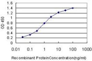 ELISA image for anti-Heat Shock 70kDa Protein 1B (HSPA1B) (AA 531-611) antibody (ABIN561379)