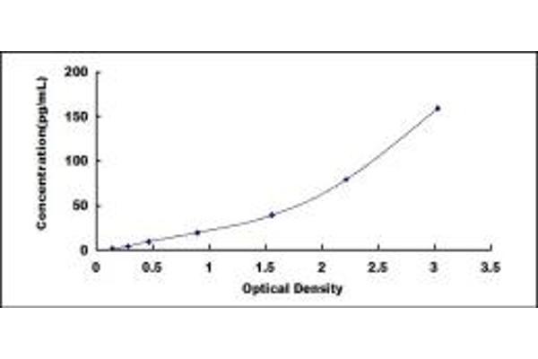 ITLN1/Omentin ELISA 试剂盒