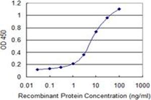 Detection limit for recombinant GST tagged CCL2 is 0. (CCL2 抗体  (AA 1-99))