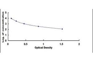 Image no. 1 for IgG2a ELISA Kit (ABIN1873492) (IgG2a ELISA 试剂盒)