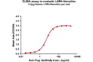 Elisa plates were pre-coated with Flag Tag -Nanodisc (0. (LGR4 蛋白)