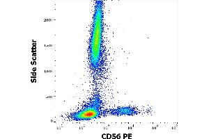 Flow cytometry surface staining pattern of human peripheral whole blood stained using anti-human CD56 (LT56) PE antibody (10 μL reagent / 100 μL of peripheral whole blood). (CD56 抗体  (PE))