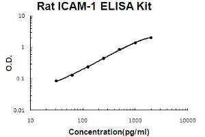 Rat ICAM-1 Accusignal ELISA Kit Rat ICAM-1 AccuSignal ELISA Kit standard curve. (ICAM1 ELISA 试剂盒)