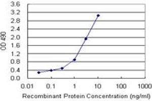 Sandwich ELISA detection sensitivity ranging from 0. (CD86 (人) Matched Antibody Pair)