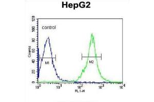 Flow Cytometry (FACS) image for anti-Fibrinogen gamma Chain (FGG) antibody (ABIN3003142) (FGG 抗体)