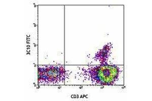 Flow Cytometry (FACS) image for anti-TCR V Alpha7.2 antibody (FITC) (ABIN2662017) (TCR V Alpha7.2 抗体 (FITC))