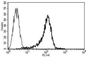 A typical staining pattern with the B-F23 monoclonal antibody of KG-1a cell line (ErbB2/Her2 抗体)