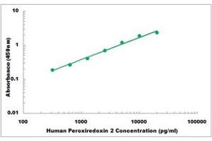 Representative Standard Curve (Peroxiredoxin 2 ELISA 试剂盒)