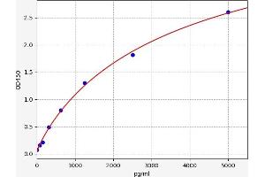 RBM3 ELISA 试剂盒