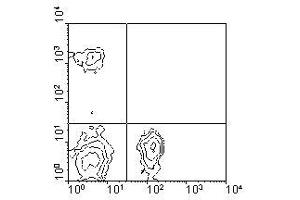 Image no. 1 for anti-CD4 (CD4) antibody (PE) (ABIN135503) (CD4 抗体  (PE))