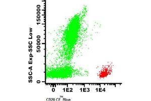 Image no. 1 for anti-Membrane-Spanning 4-Domains, Subfamily A, Member 1 (MS4A1) antibody (CF405M) (ABIN1112085) (CD20 抗体  (CF405M))