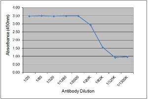 ELISA image for Mouse anti-Horse IgGb antibody (ABIN2481209) (小鼠 anti-马 IgGb Antibody)