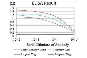 Black line: Control Antigen (100 ng), Purple line: Antigen(10 ng), Blue line: Antigen (50 ng), Red line: Antigen (100 ng), (NRF2 抗体  (AA 356-589))