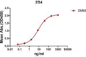 ELISA plate pre-coated by 2 μg/mL (100 μL/well) Human 2B4 protein, mFc-His tagged protein ABIN6961083, ABIN7042195 and ABIN7042196 can bind Rabbit anti-2B4 monoclonal antibody (clone: DM69) in a linear range of 1-100 ng/mL. (Recombinant 2B4 抗体  (AA 22-221))