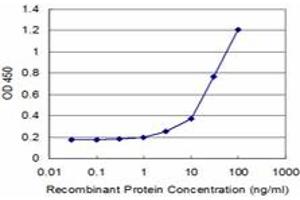 Detection limit for recombinant GST tagged EPM2A is approximately 3ng/ml as a capture antibody. (EPM2A 抗体  (AA 101-199))